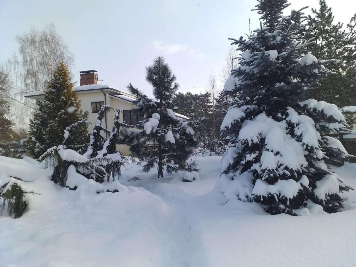 Guest House Pechersky & Sons Dreilini  エクステリア 写真